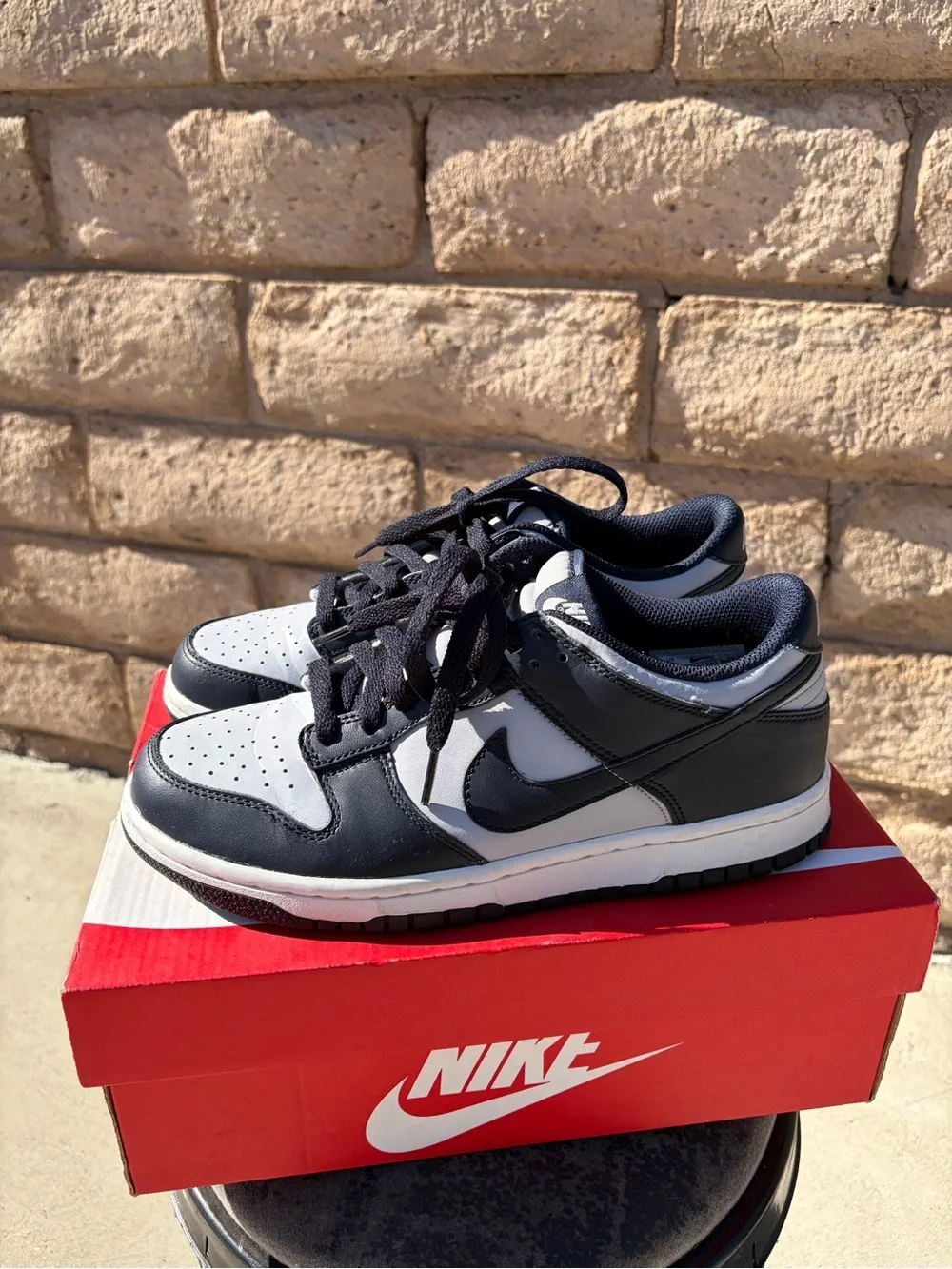 Nike Kids Navy Blue / lights Gray Low-Top Dunks